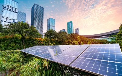 Energia solare e sostenibilità: come ridurre l’impatto ambientale della tua azienda